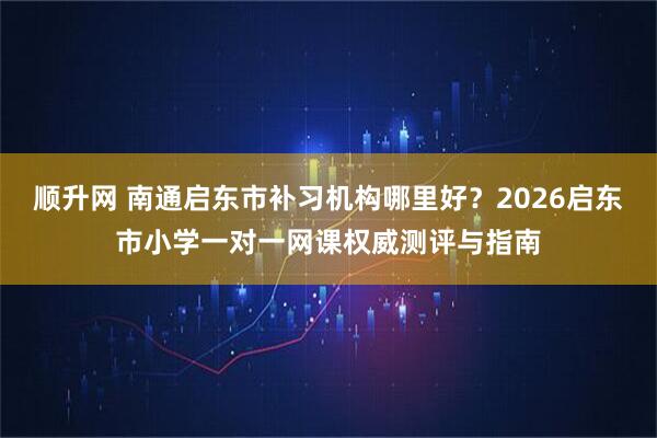 顺升网 南通启东市补习机构哪里好？2026启东市小学一对一网课权威测评与指南
