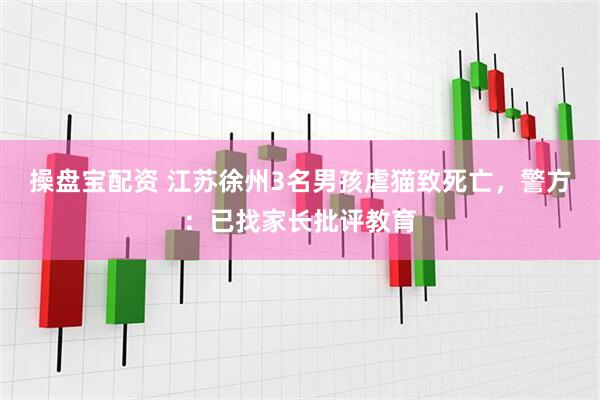 操盘宝配资 江苏徐州3名男孩虐猫致死亡，警方：已找家长批评教育